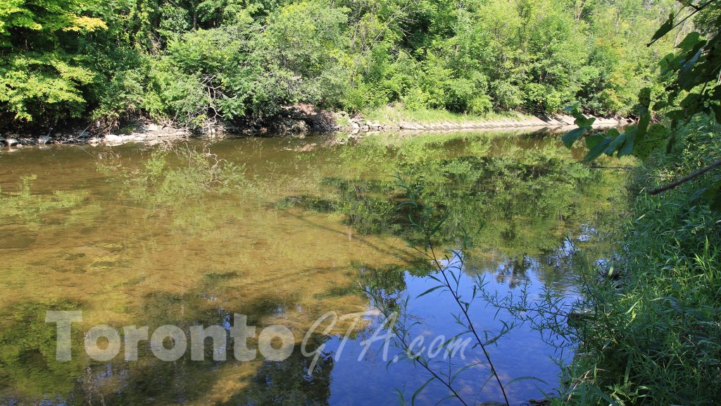 IMG_5911 Etobicoke Creek